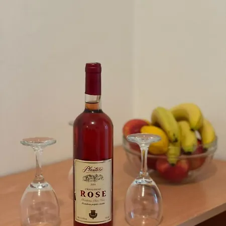 Apartment Stari Ribar Budva