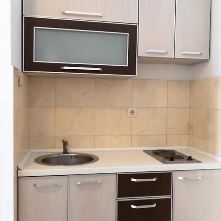 Stari Ribar Apartment *